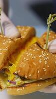 coupé dans une moitié savoureux appétissant hamburger au fromage. chef dans gants spectacles une Hamburger avec Viande escalope et fromage. verticale video