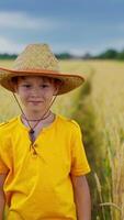 Portrait of a little farmer on field. Healthy boy in straw hat and yellow t-shirt looking on camera and smiling on the wheat field background. Vertical video