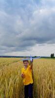 Child plays outdoors. Cute boy walks on yellow field and imitates flight with his toy plane under clouded sky in summer. Vertical video