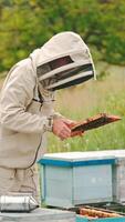 Apiculturist in protective clothes and hat looks carefully at the honey frame. Beekeeper examining the honey harvest. Vertical video