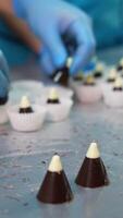 Confectioner takes little chocolate cones with white tops and puts them in paper. Packaging ready-made sweets at factory. Blurred backdrop. Vertical video