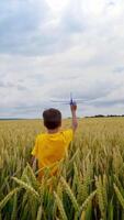 Little boy plays on factory background. Child in yellow t-shirt walking on wheat field and holds toy plane in his hand in summer. Vertical video