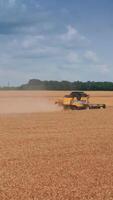 Modern yellow harvester cutting ripe wheat spikelets. Drone footage along the machine way and around it . Green trees at the backdrop. Vertical video
