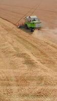 Agricultural machinery working in the farmlands. Compact green combine mows the dry ripe wheat. Skyline at backdrop. Vertical video