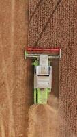Modern green combine harvester with red mowing mechanism working in the field. Agricultural machine picking crops of wheat. Vertical video