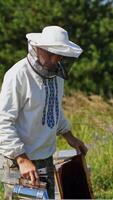 Beekeeper's work in summer. Professional apiarist working with chimney in the apiary among nature . Beekeeping process. Vertical video