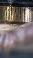 Beautifully shaped zephyr desserts are deposited onto conveyor belt. Automatic machine producing marshmalows. Close up. Blurred backdrop. Vertical video