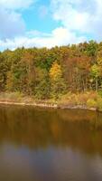 River waterfront covered with colored trees. Drone footage over the brown river approaching thin bare trees on the bank. Vertical video