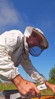 Beekeeper against blue sky. Apiculturist in protective hat examining bees in summer. Farmer looks at the frame full with bees on the apiary. View from below. Vertical video