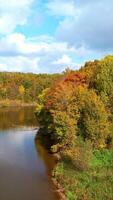 Splendid nature in diverse color pallet on autumn season. Flying drone shot over the dark river flowing in the woods on sunny weather day. Vertical video