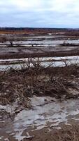 Natural resources in danger. Dirty background of polluted river in drought place. Environmental problems. Groundwater disaster. Vertical video
