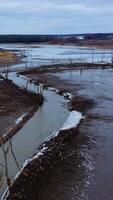 Dirty river in spring. Disaster ecology in nature. Dark background of fields and river in rural place. Environmental problems. Vertical video