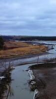 Water pollution. Narrow river floating among dirty background of nature in spring. Vertical video