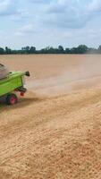 Two harvesters following one another in the field. Agricultural machines harvesting bread in summer season. Vertical video
