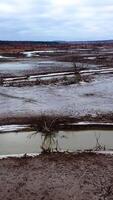 Nature in danger. Drought on earth. Narrow stream of dirty water of dried lake. Climate change. Ecological disaster. Environmental pollution. Motion camera back. Vertical video