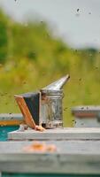 Multiple bees flying wildly over their hives. Beekeeper comes to take away his instruments left before on the beehive. Vertical video