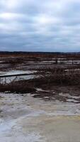 Gloomy background of nature. Contamination of lake in drought place. Ecological problems. Dried plants in polluted background. Vertical video