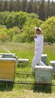 Apiarist in protective outfit walks among his beehives. Focused man counting and thinking over something at apiary. Nature backdrop. Vertical video