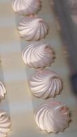 Freshly-made vanilla zephyr desserts on the conveyor line. Marshmallow manufacturing at modern food factory. Close up. Top view. Vertical video