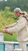 Experienced adult apiarist holds a frame and looks at it intently. Beekeeper examining his harvest thoroughly. Nature in blur at backdrop. Vertical video