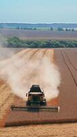 Yellow combine harvester mowing ripe dry spikelets. Agricultural machine working at the backdrop of beautiful countryside scenery. Vertical video