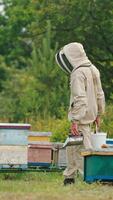 Apiarist standing at his farm with tools and equipment in hands. Man in protective outfit looks at numerous bees swarming around. Vertical video