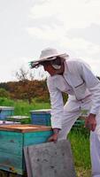 Beekeeper wearing white protective clothes opens the hive, examines it and closes again. Apiarist doing check up. Bee farm backdrop. Vertical video