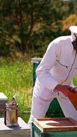 Man in special white protective outfit and hat opens the lid of a hive using metal tool. Beekeeper checking out his organic farm. Vertical video