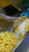 Factory worker takes corn sticks out of a metal tank. Crispy puff corns are put on the conveyor belt for the next stage of production. Vertical video