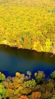 Wonderful scenery of green and yellow woods in autumn season. Calm water flowing in the river through the forest. Aerial view. Vertical video