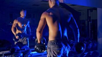 Bodybuilder doing workout at gym. Strong well built bodybuilder lifting dumbbell weights, getting ready for exercise in fitness video