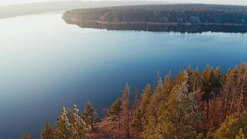 Flight over the river and forest. Flying above river with forests and fields around video