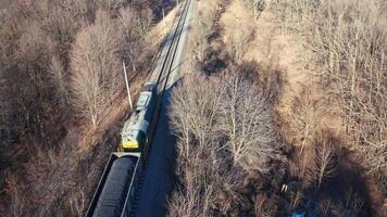 Aerial view of the forest in winter. Aerial view of a road in the middle of the forest video