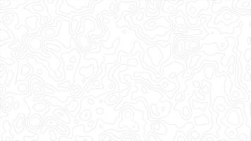 Minimal topography contour line animation background video