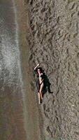 Vertical Drone Shot of Girl in Black Pareo on an Empty Beach in Serene Setting video