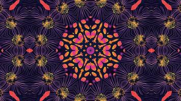A vibrant, symmetrical design featuring floral and abstract patterns in bold colors. video