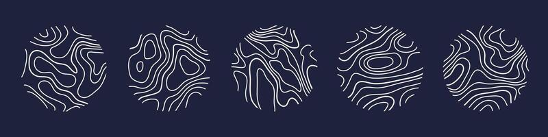 Circular wood rings or topographic map lines texture set. Wood tree topographic abstract lines. vector