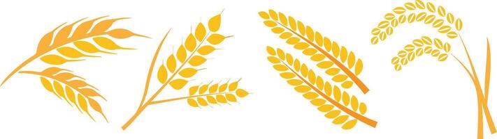 Set of wheats icons and wheat design elements. vector