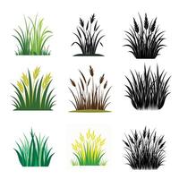elegant grass silhouette vector
