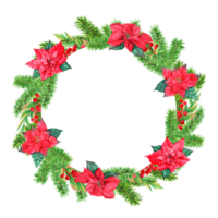 Round vignette of traditional Christmas decoration. Decoration with red winter Poinsettia. Accessory for Christmas attire. png