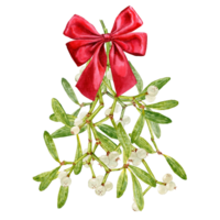Little Mistletoe branch with red bow in Watercolor for Christmas design png
