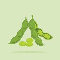 raw soybeans, collection of pods with skin and contents outside in flat style, suitable for posters and web icons vector
