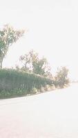 View of empty road with lamp post and sunlight video