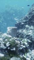 Ruined remains of the building of the ancient city video