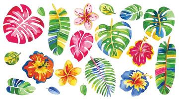 set of colorful, flowers and tropical leaves. abstraction, psychedelic. vector