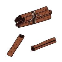 Rolled cinnamon sticks, icon, seasoning logo for the menu. Spice for cooking in the doodle style. Cinnamon Icon vector