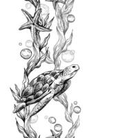 Turtle, sea blue algae with leaves wriggling in wave with bubbles and coral starfish. Graphic illustration hand drawn in black ink underwater world. Seamless vertical border pattern for long projects vector