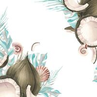 Whole coconuts and slices with tropical palm leaves and seashells. Watercolor illustration. Template on a white background from the collection of COCONUTS. For the dcoration and design vector