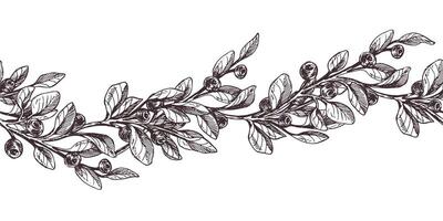 Blueberry sprigs with berries and leaves. Graphic illustration, hand drawn with brown ink, line art monochrome. Seamless border, pattern, simple on the theme of forest, harvest, nature. vector