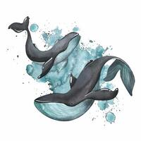 Black whales with turquoise color on the background of splashes of paint. Watercolor illustration. Composition on a white background from the collection of WHALES. For the design and decoration vector